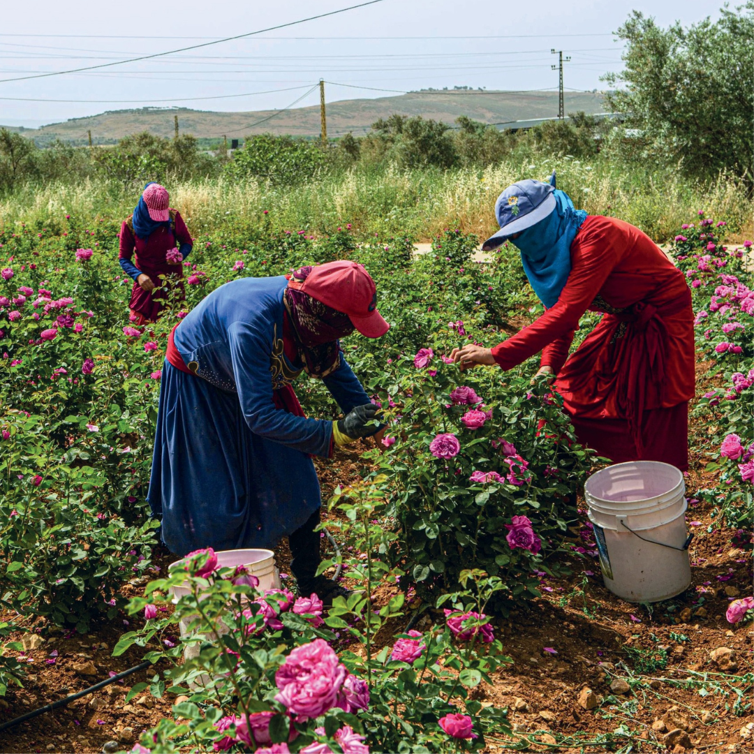 Bagnodoccia scrub rinnovatore - bio | 200 ml