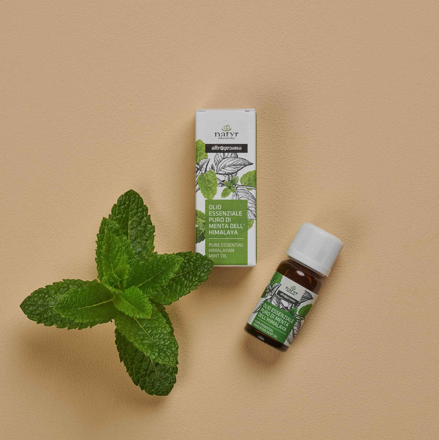 Olio essenziale puro di menta | 10 ml