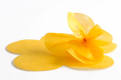 Foglio carta seta fustellato a fiore