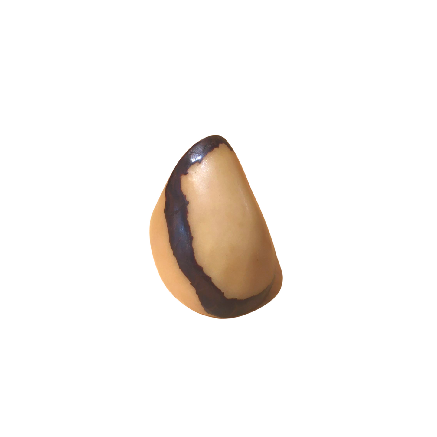 Anello Variegato tagua