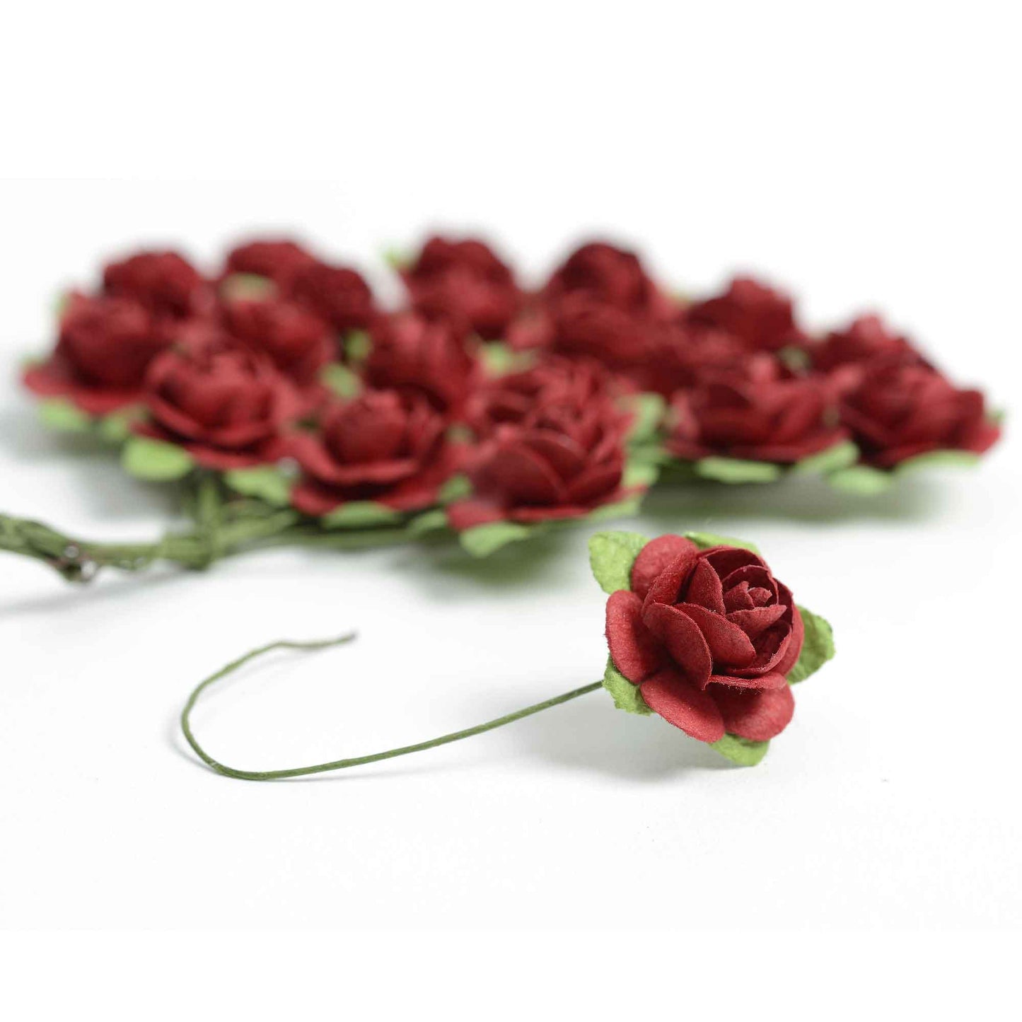 Rosellina Saa paper carta