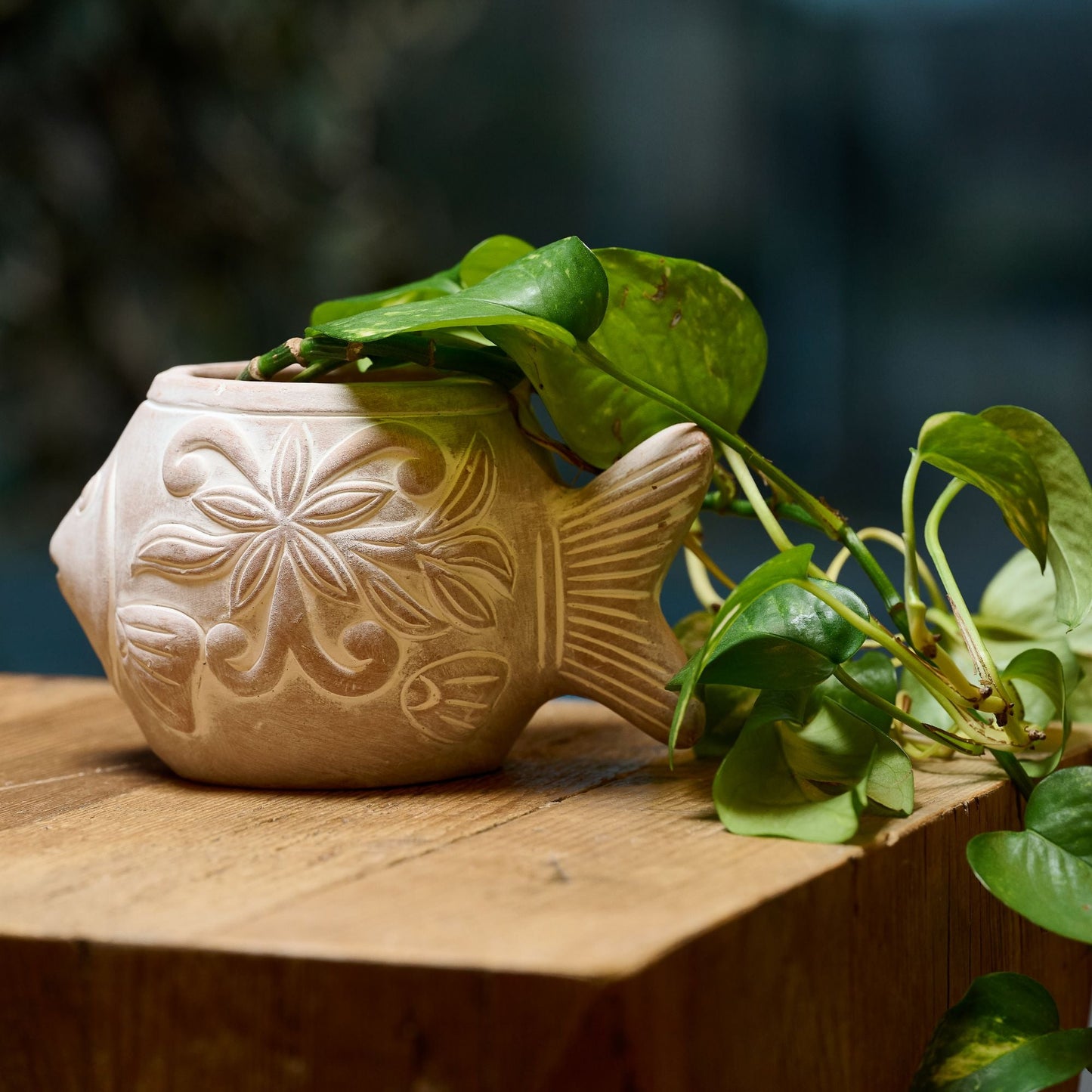 Vaso Pesce terracotta