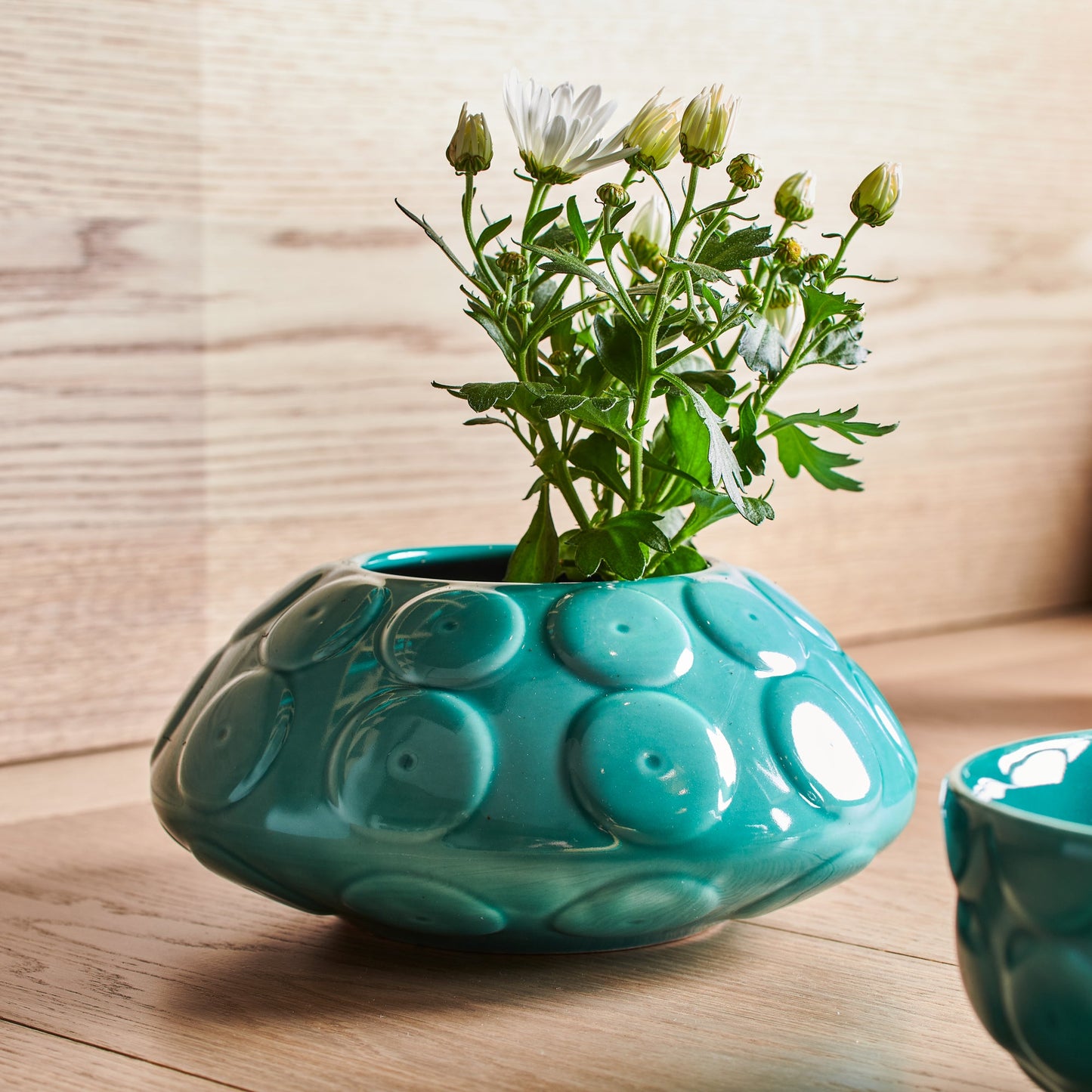 Vaso basso Echini ceramica acquamarina