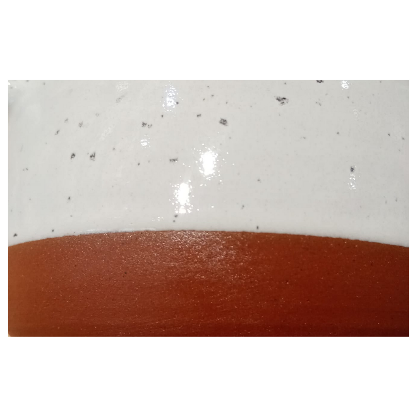 Cocotte Quail terracotta