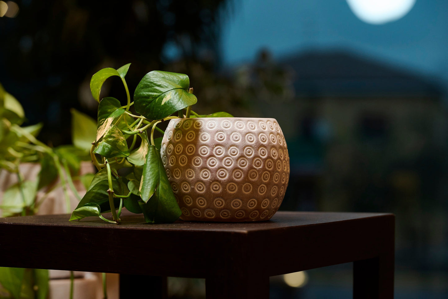 Vaso Bubbles terracotta