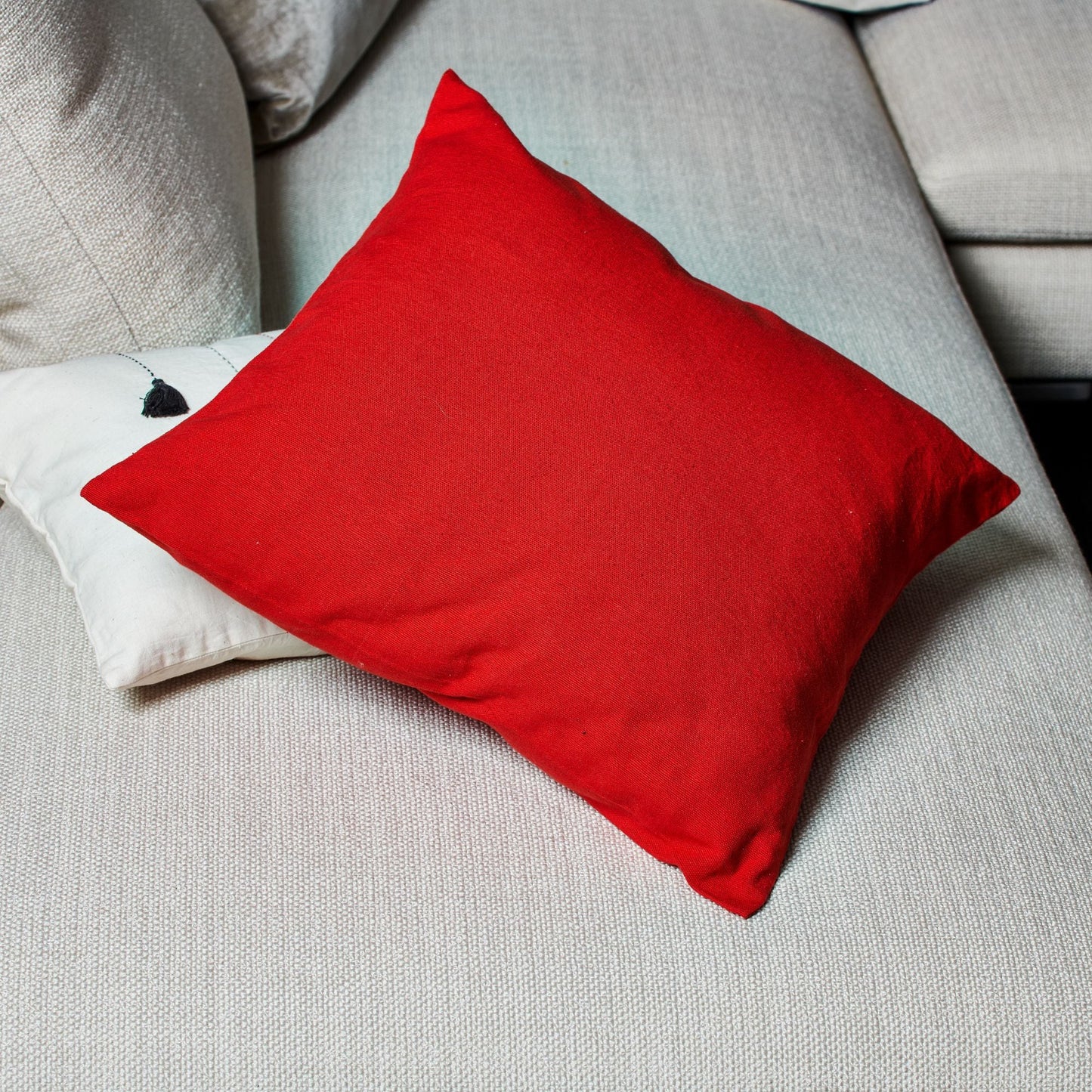 Federa cuscino Tintaunita cotone