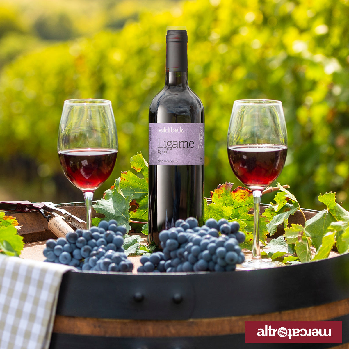 Ligame Syrah IGP - bio | 750 ml