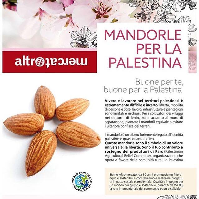 Mandorle al naturale Palestina edizione limitata | 400 g