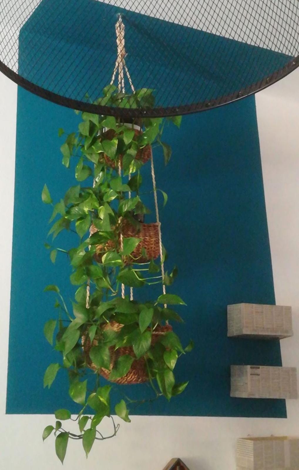 Portapiante GARDEN quadrato in hogla