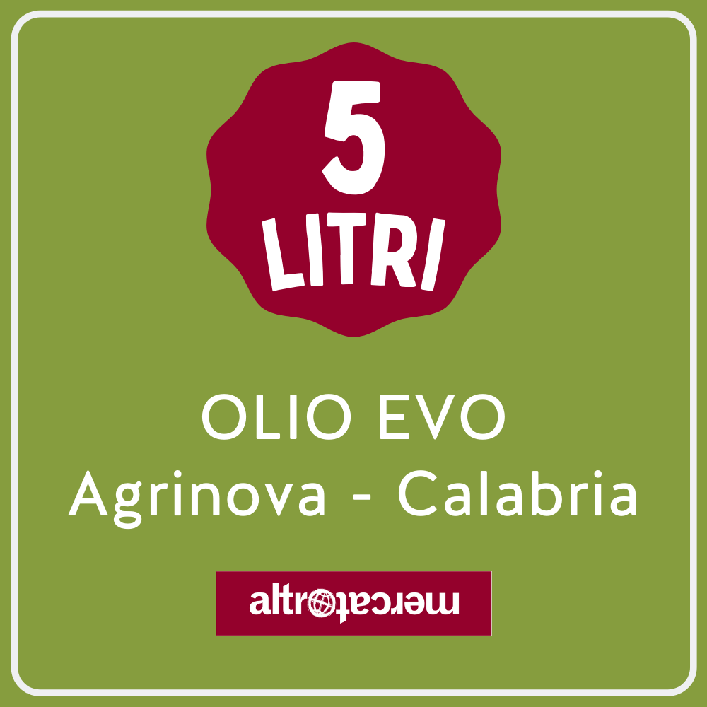 Olio evo Agrinova in latta Calabria | 5L