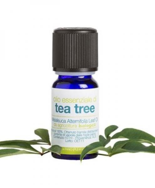 Olio essenziale puro tea tree | 10 ml